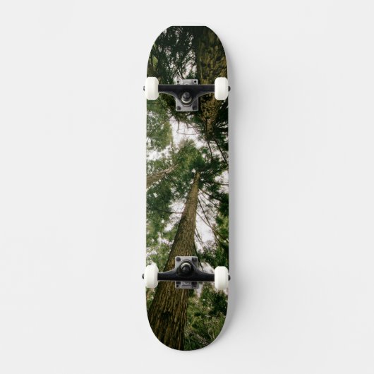 Forêt Perspective Skateboard (Recto)