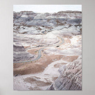 Forêt Pétrifiée, Affiche de Photo de Paysage Désol
