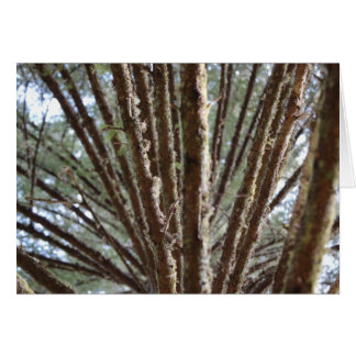 Forêt pour les arbres