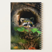 Forêt | Raccoon Peeking (Dos)