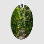 Forêt | Tropical Rainforest Tulum Mexique (devant)