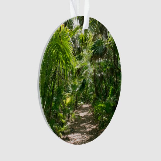 Forêt | Tropical Rainforest Tulum Mexique (devant)