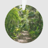 Forêt | Tropical Rainforest Tulum Mexique (devant)