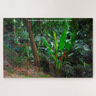 Forêt tropicale humide Grenade Caraïbes. Puzzle