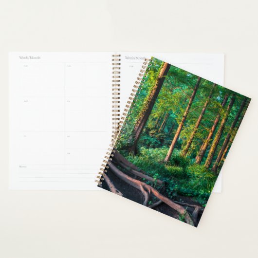 Forêt | Végétation et forêt (Devant avec enveloppe)