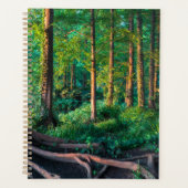 Forêt | Végétation et forêt (Devant)