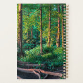 Forêt | Végétation et forêt (Dos)