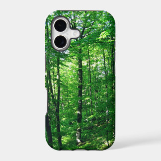 forêt verte