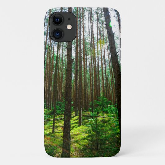 Forêts Arbres Sky Belarus Nature iPhone 11 Coque (Dos)