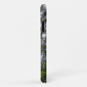 Forêts Arbres Sky Belarus Nature iPhone 11 Coque (Dos/Droite)