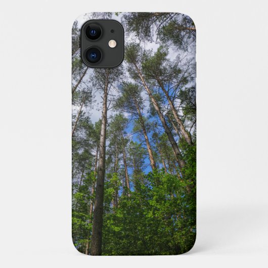 Forêts Arbres Sky Belarus Nature iPhone 11 Coque (Dos)