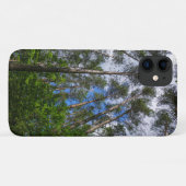 Forêts Arbres Sky Belarus Nature iPhone 11 Coque (Dos (Horizontal))
