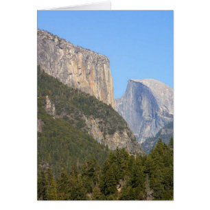 Forêts de Yosemite à demi-dôme