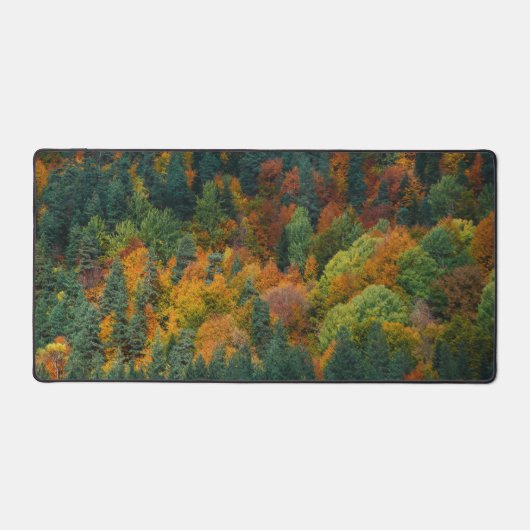 forêts mixtes (Recto)