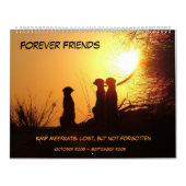 Forever Friends - Meerkat Calendar Kalender (Hoes)