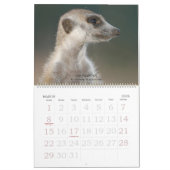 Forever Friends - Meerkat Calendar Kalender (Mar 2026)