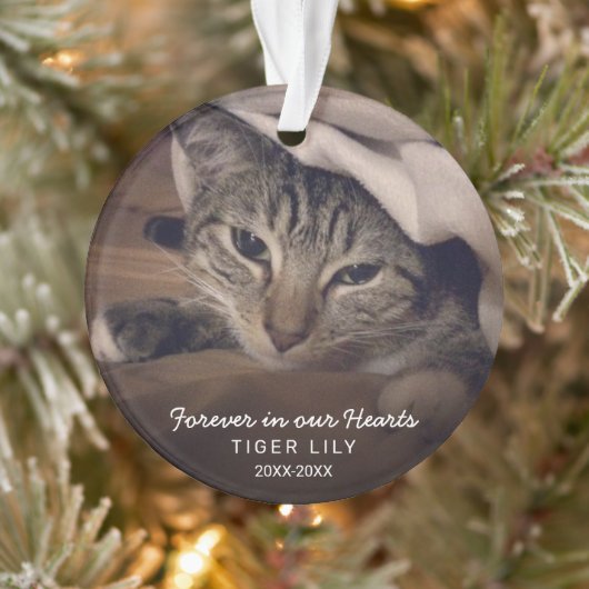 Forever in ons hart Foto Cat Pet Memorial Ornament (Boom)