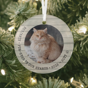 Forever in ons hart Foto Pet Memorial Glas Ornament