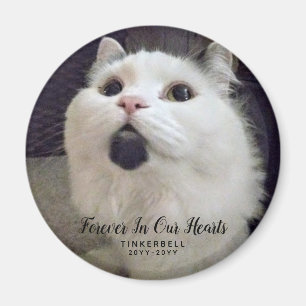 Forever in ons hart Kat Memorial Foto aangepast Magneet
