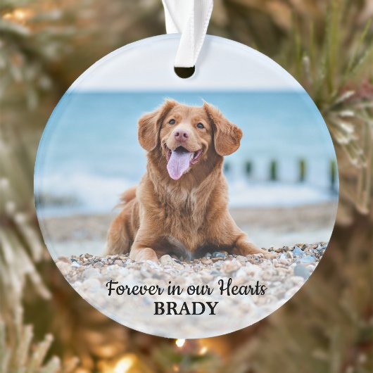 Forever in our Hearts - Dog 2 Photo Pet Memorial