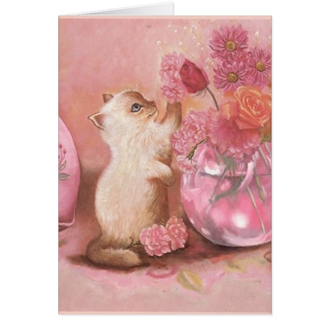 Forever Kitten (Voorkant)