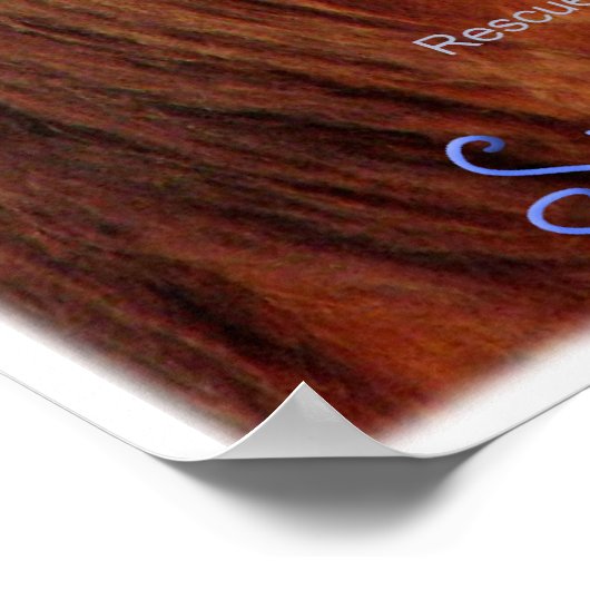 Forever Morgans Simplement Irrésistible Poster Che (Coin)