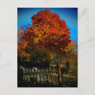 Forever Red Briefkaart