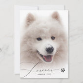 Forever Simple Script Pet Memorial Foto bedankt (Voorkant)