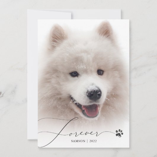 Forever Simple Script Pet Memorial Foto bedankt (Voorkant)