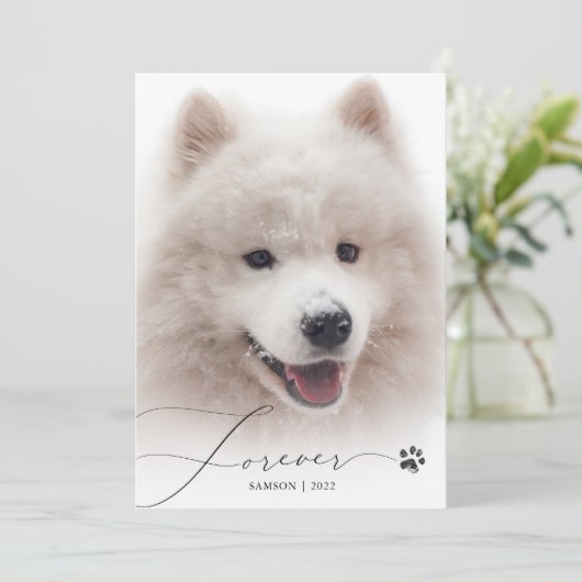 Forever Simple Script Pet Memorial Photo Merci (Debout devant)