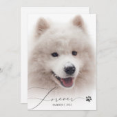 Forever Simple Script Pet Memorial Photo Merci (Devant / Derrière)