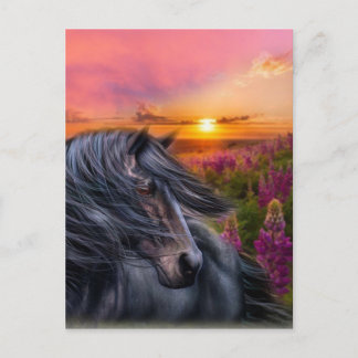 Forever Wild Black Horse Briefkaart