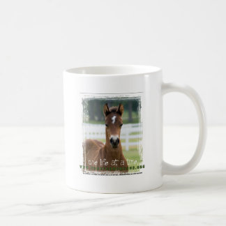 ForeverMorgan One Life at Time Foal Koffiemok