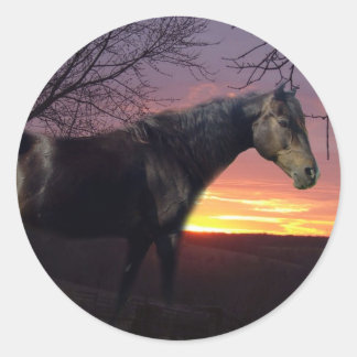 ForeverMorgans Zwart Paard in Paarse Zonsopgang Ronde Sticker