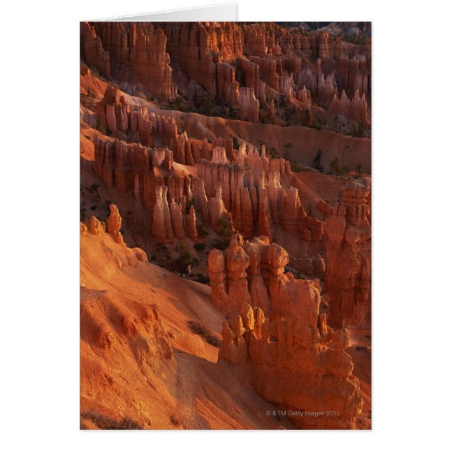 Forformations rocheuses (Devant)