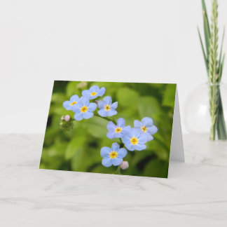 Forget-Me-Not 1 Kaart