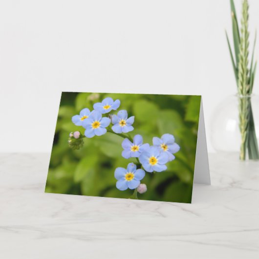 Forget-Me-Not 1 Kaart (Voorkant)