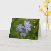Forget-Me-Not 2 Kaart (Gele Bloem)