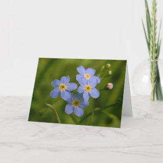 Forget-Me-Not 2 Kaart