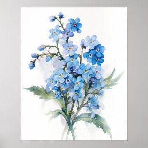 Forget Me Nots Flower Art Print Poster