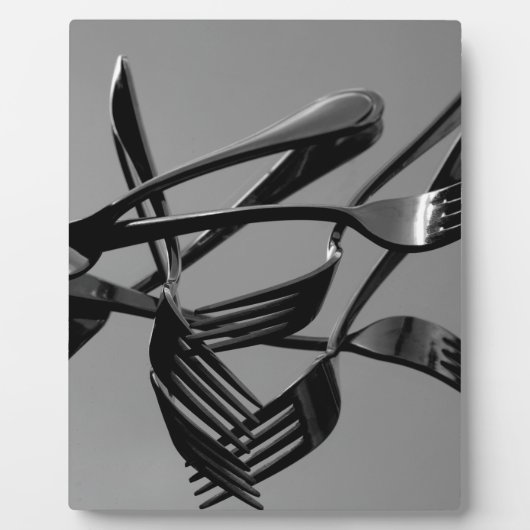 Fork Levitation Fotoplaat (Voorkant)