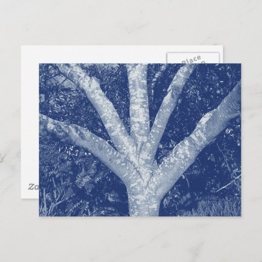 Forked Branches - Cyanotype-effect Briefkaart (Voorkant / Achterkant)