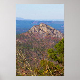 Forked Mountain , Arkansas Poster