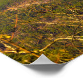 Forked Mountain , Arkansas Poster (Hoek)