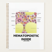 Formation des cellules hématopoietiques