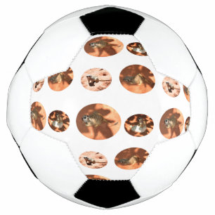 Forme de balle Meerkat, balle de football