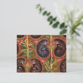 Formele paisles briefkaart (Staand voorkant)