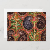 Formele paisles briefkaart (Voorkant / Achterkant)