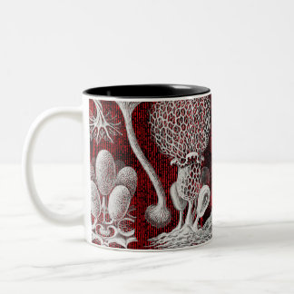 Formes artistiques de la nature Mug à café à deux