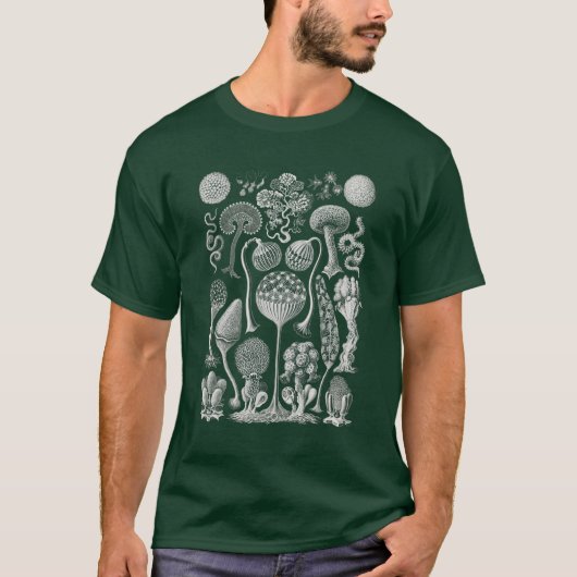 Formes d'art de la nature, Haeckel T-Shirt (Devant)